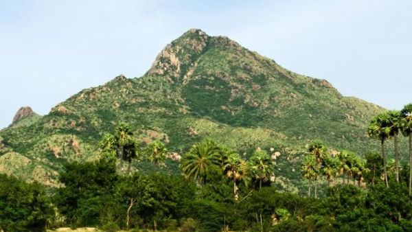 வருடம் முழுவதும் கிரிவலம்