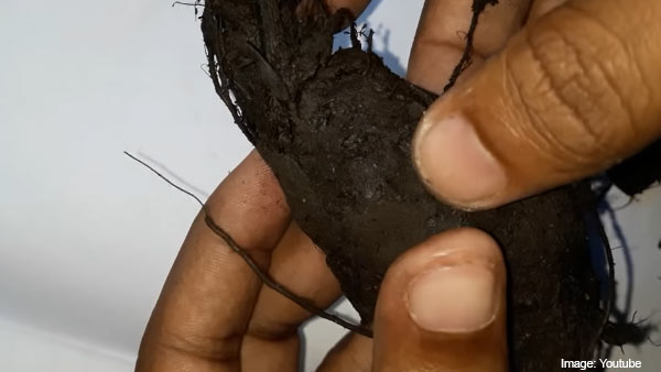 எதிர்மறை சக்திகள் ஓடும்