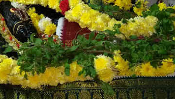 புத்துணர்ச்சி தரும் துளசி தீர்த்தம் புத்துணர்ச்சி தரும் துளசி தீர்த்தம்