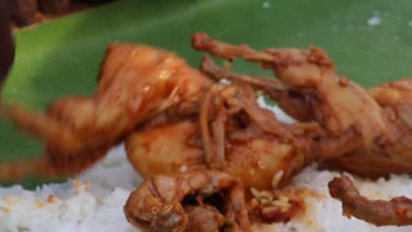 வட நாட்டுக்கு 