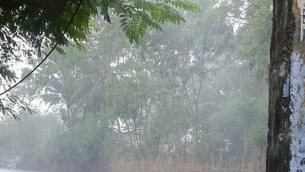 என்ன பாதிப்பு 