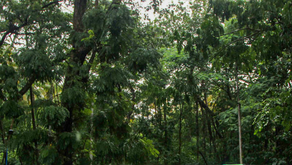 என்ன கோரிக்கை 