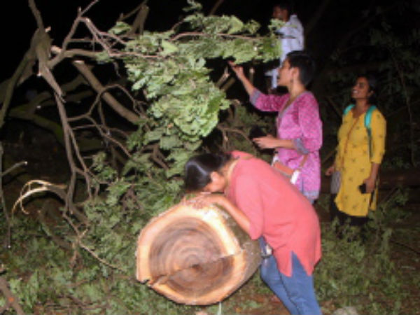 மும்பை மாநகராட்சி 