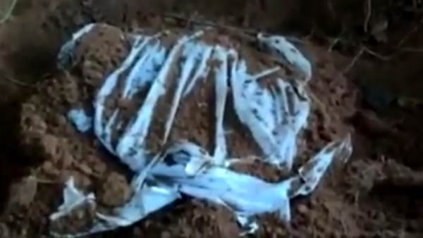 காட்டுப்பகுதி 