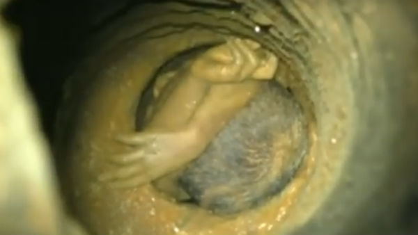 தெம்பு கிடைத்தது 