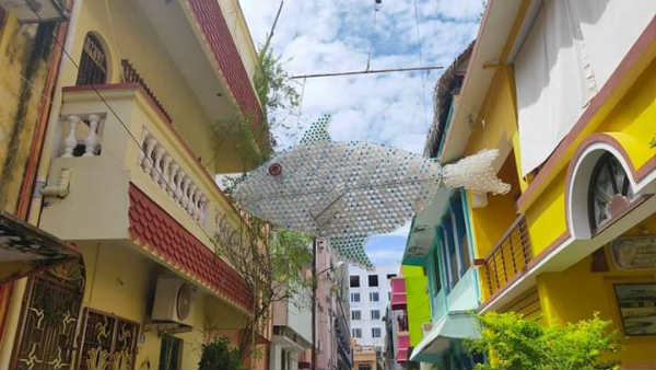 மிதக்கும் மீன்