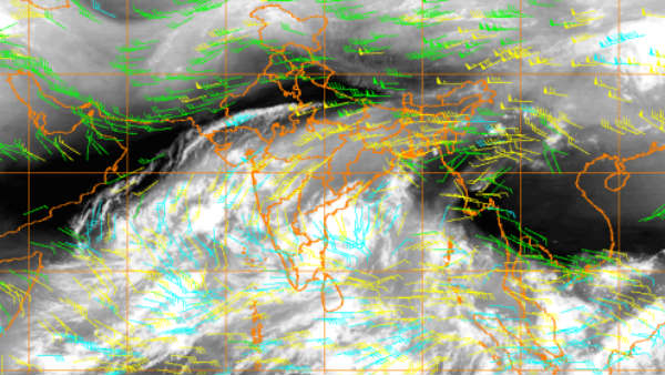 புகைப்படம் 