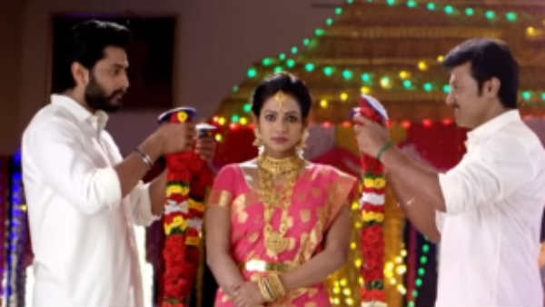 விடாது துரத்தல் 