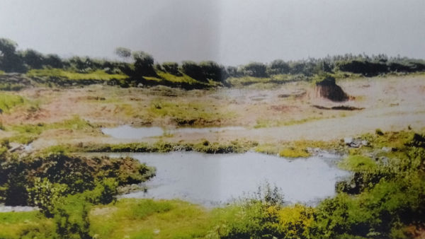 hc issues notice to collector on lake encroachment
