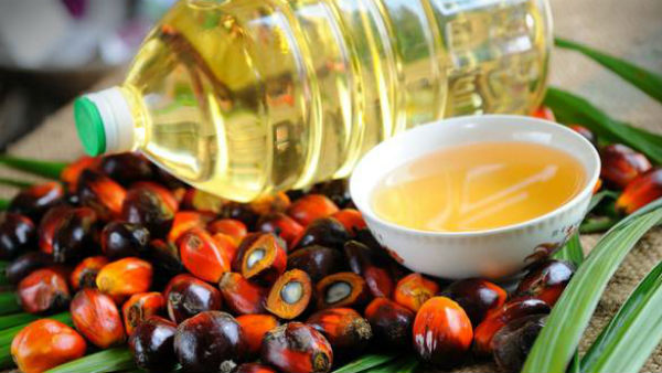 dmk person attacks old man video viral India to restrict import of palm oil from Malaysia dmk person attacks old man video viral India to restrict import of palm oil from Malaysia