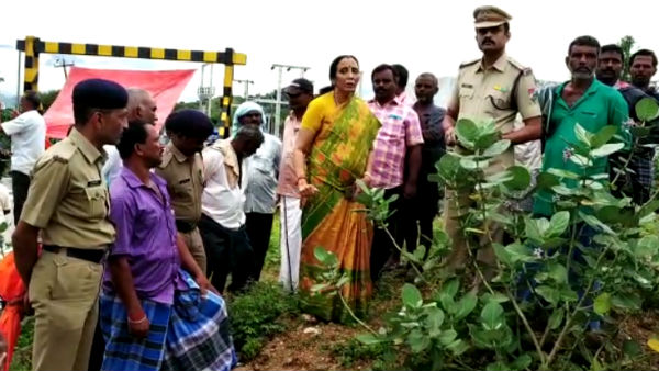 மழைநீர் 