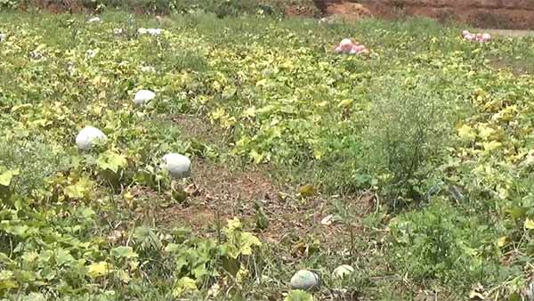 கோவையிலும் சிக்கல் 