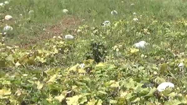 திறந்தால்தான் உண்டு 