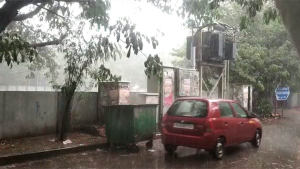 விருதுநகரில் மழை 