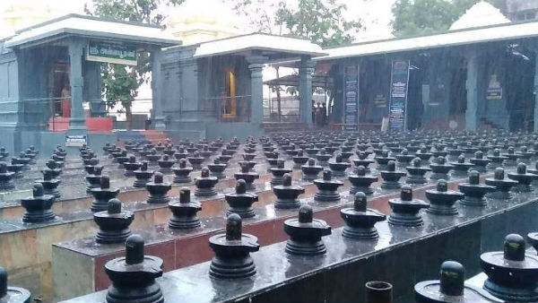 Guru peyarchi 2019 Maga yagam at Sri Dhanvantri Arokya Peedam 