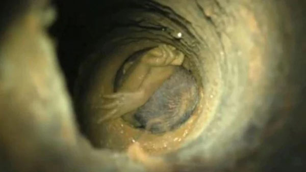 போர்வெல் 