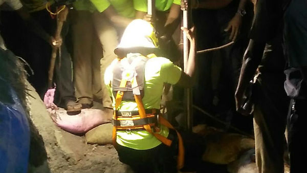 அழுகுரல் 