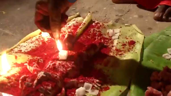 பார்க்கலாம் வீடியோ 