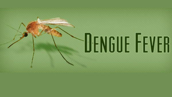 டெங்கு பாதிப்பு 