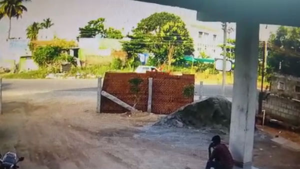 உடல் உறுப்புகள் 