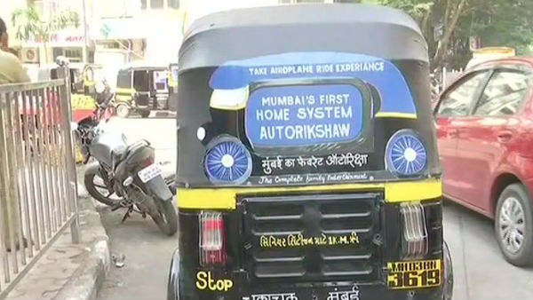 செடி கொடிகள் 