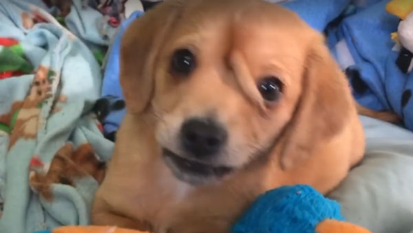 ஆன்லைனில் டிரெண்ட் 