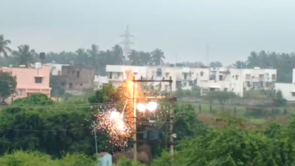 50 யானைகள் 