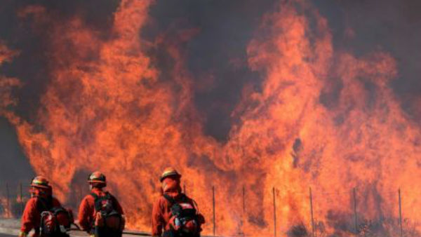 காட்டுத்தீ 