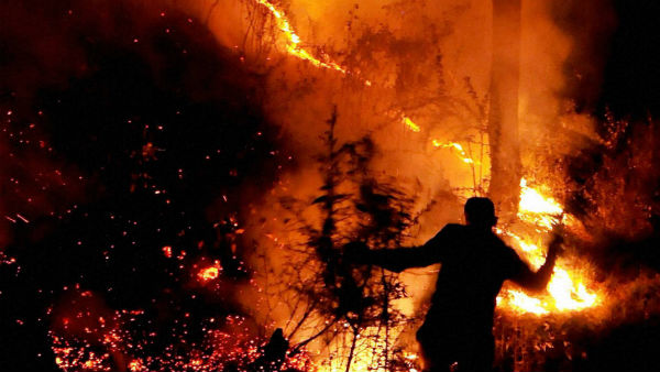 அபாய அளவை எட்டிய காட்டுத்தீ 