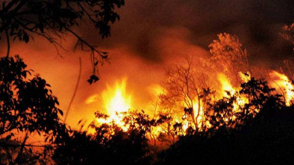 சிட்னி, ப்ளூ மவுண்டன் பகுதிகளில் அபாய அளவு 