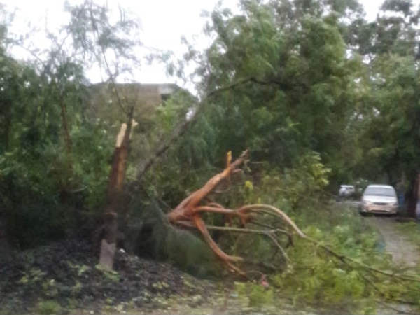 வாழ்வாதாரம் பாதிப்பு 