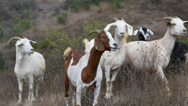 பொதுமக்கள் தகவல் 