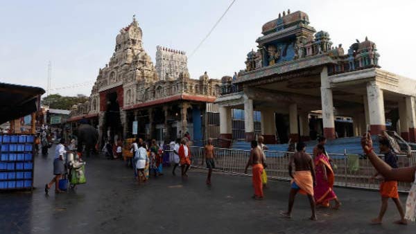 தணிகை மலை முருகன்