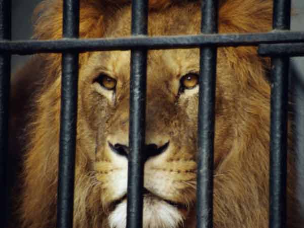 என்ன வேணும்னாலும் நினைச்சுக்கோ என்ன வேணும்னாலும் நினைச்சுக்கோ