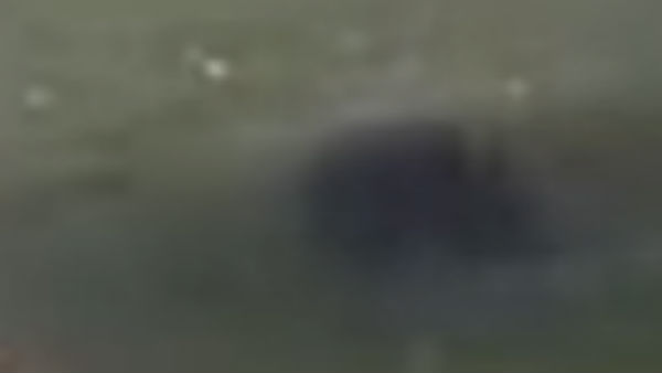 சவால் விபரீதம் சவால் விபரீதம்