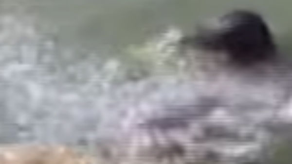 பெண்கள் துவைக்கிறார்கள் பெண்கள் துவைக்கிறார்கள்