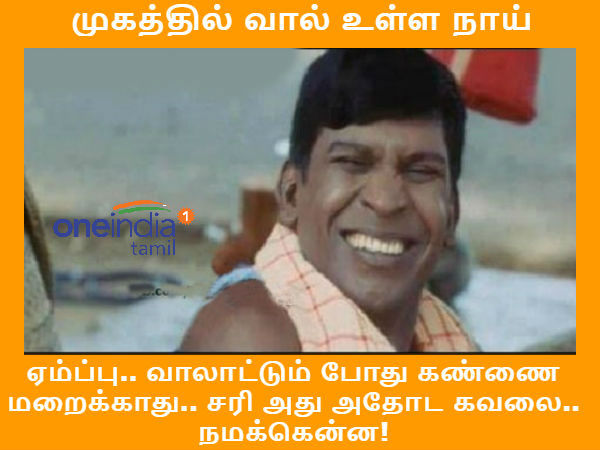 These are some jolly memes on dogs.