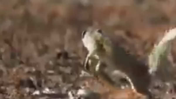 எப்படி தப்பிக்கிறது 