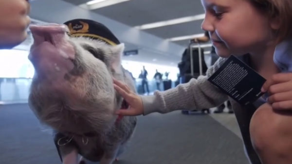  பளீச் நெயில்பாலீஷ் 