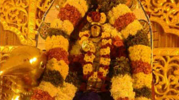 நோய்கள் தீரும்