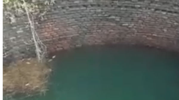  சடலம்