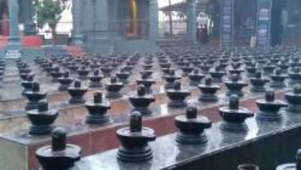 Aippasi Pournami Annabisekam at Sri Danvantri Arogya Peedam Walajapet