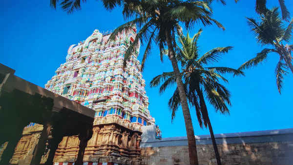 அழகிய நம்பிராயர் கோவில் சிற்பங்கள் 