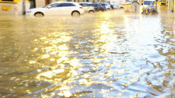 சுற்றுலா பயணிகள் பரிதவிப்பு 