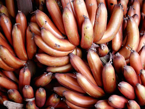 Dont believe rumour on red banana, says officials 