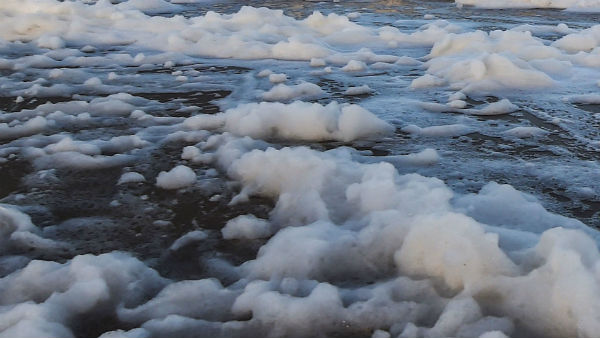 மாசுதான் 