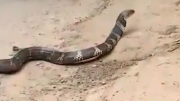 வீடியோ வீடியோ