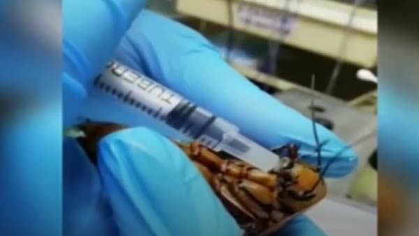 தாயும் சேயும் நலம் 