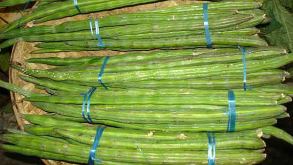 முகூர்த்த நாள் 