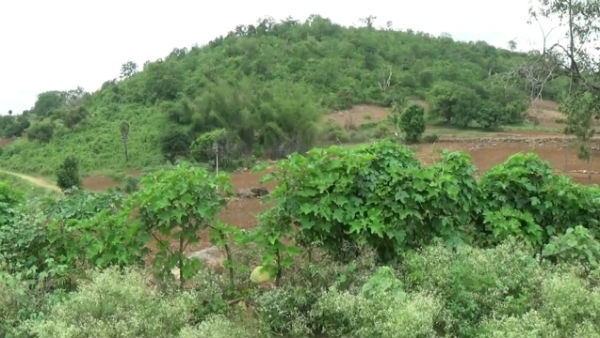 In Kalvarayan hills, a landlord stabbed to death a youth with a spear